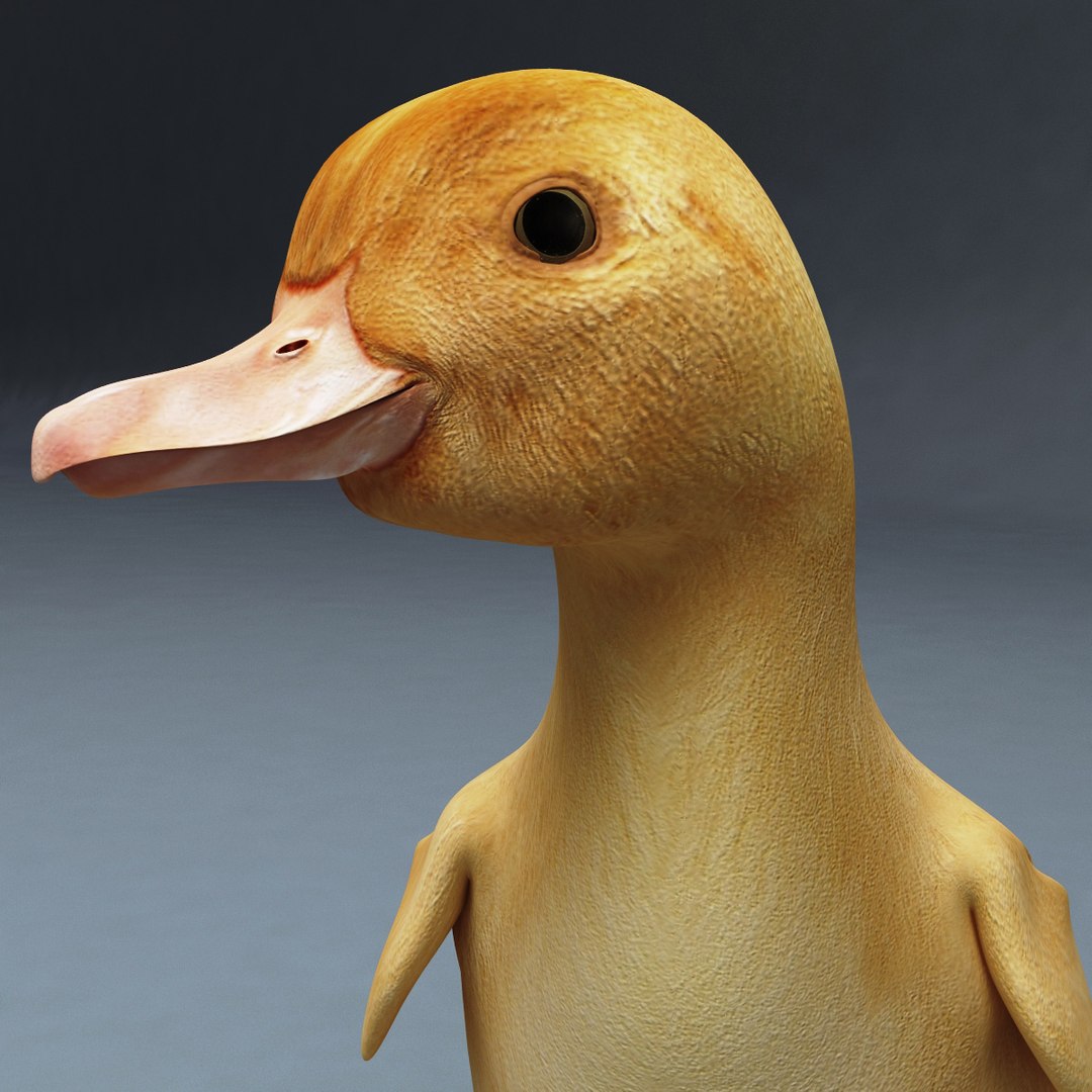 3d farm animals v3 model https://p.turbosquid.com/ts-thumb/IS/pD4ZRc/LNC5jJ2c/farm_animals_collection_v3_66/jpg/1312917484/1920x1080/fit_q87/b9bd9bcd16cd8d7b8fc76ab7c50aadd69d10ecf3/farm_animals_collection_v3_66.jpg