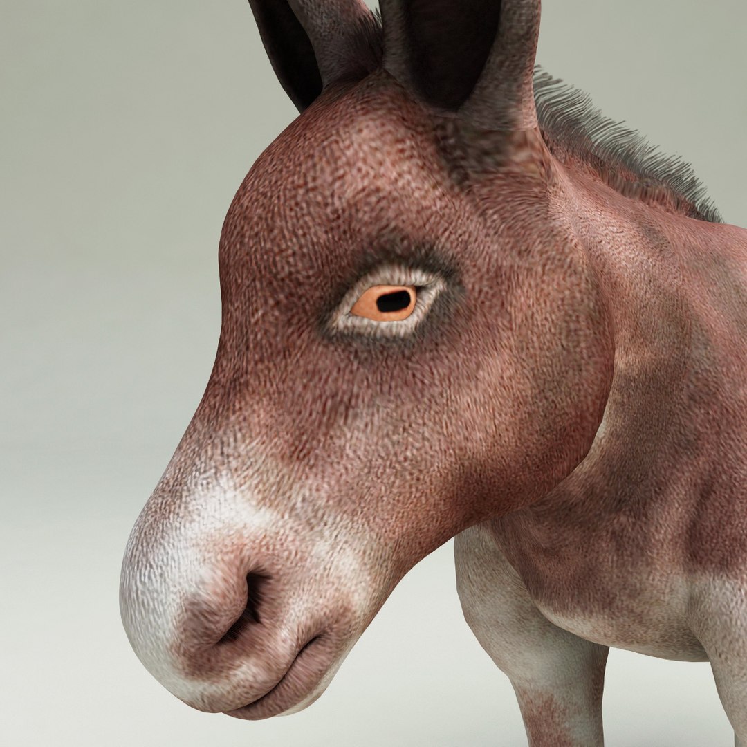 3d farm animals v3 model https://p.turbosquid.com/ts-thumb/IS/pD4ZRc/LxhY3kcv/farm_animals_collection_v3_16/jpg/1312917483/1920x1080/fit_q87/aa9378bce2295fb22893a5fc9fa23c6f3817e3c4/farm_animals_collection_v3_16.jpg