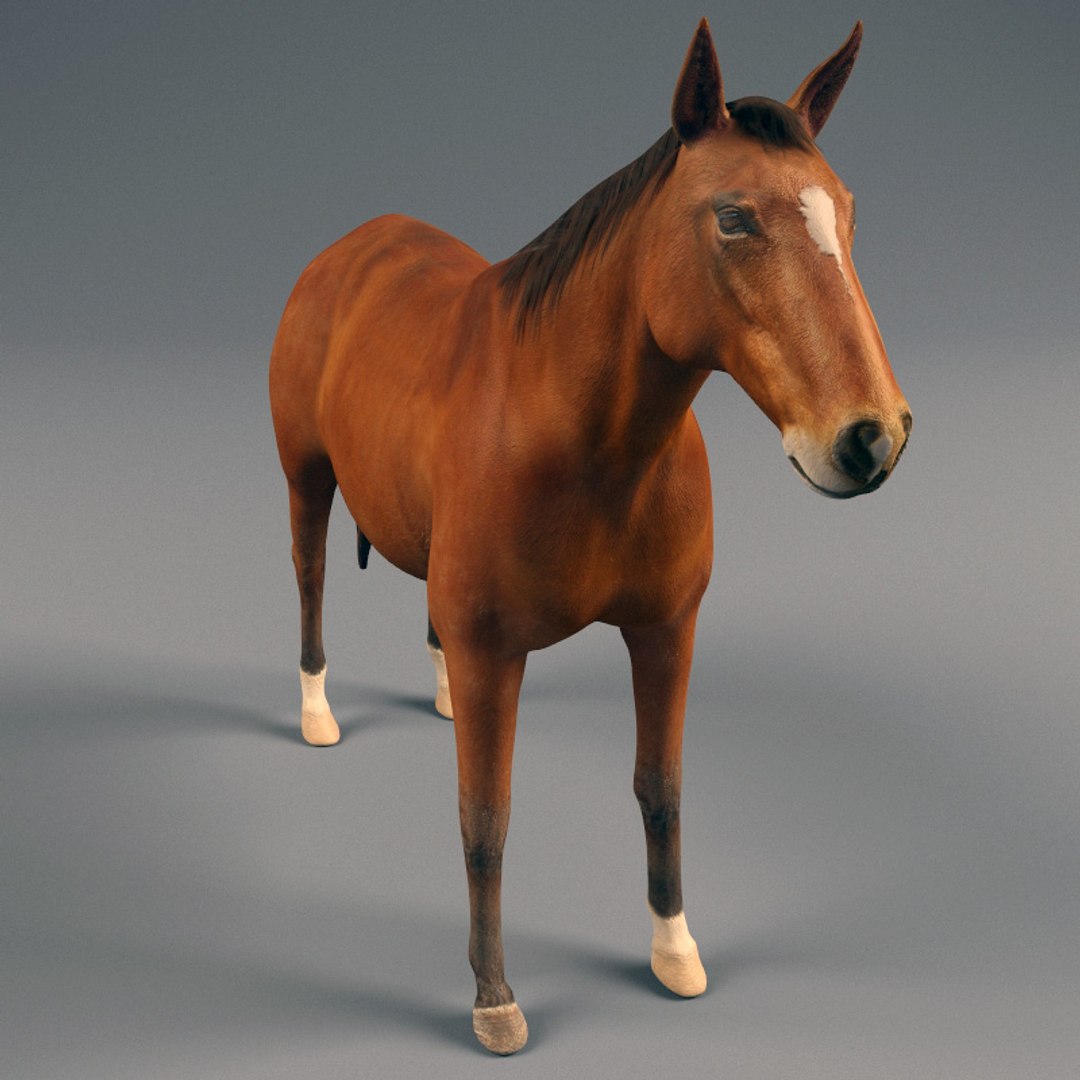 3d farm animals v3 model https://p.turbosquid.com/ts-thumb/IS/pD4ZRc/PLVvWdz1/farm_animals_collection_v3_22/jpg/1312917483/1920x1080/fit_q87/bd017c01f22294de900061535153c80554586a32/farm_animals_collection_v3_22.jpg