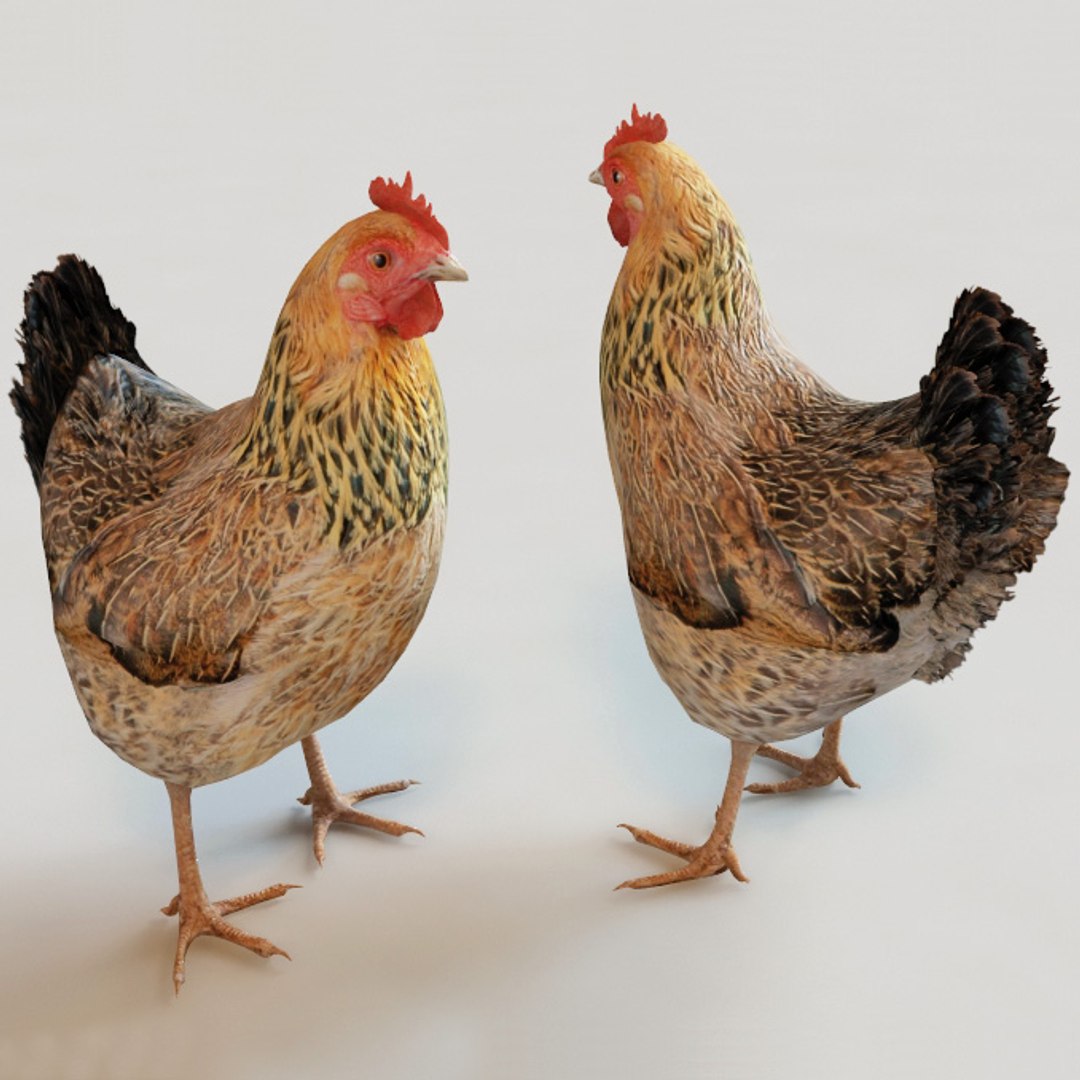3d farm animals v3 model https://p.turbosquid.com/ts-thumb/IS/pD4ZRc/Ush0uZTG/farm_animals_collection_v3_43/jpg/1312917483/1920x1080/fit_q87/ea85a25ca58e272cb811923c6b3ccd9751f79243/farm_animals_collection_v3_43.jpg