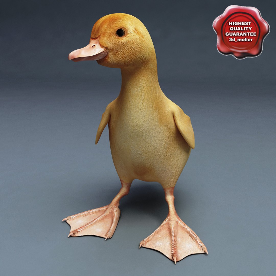 3d farm animals v3 model https://p.turbosquid.com/ts-thumb/IS/pD4ZRc/XR5Ka5SH/farm_animals_collection_v3_59/jpg/1312917483/1920x1080/fit_q87/55a791245e5d922808f2b91f5365a450b2a28fd6/farm_animals_collection_v3_59.jpg
