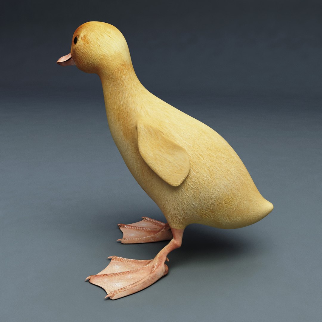 3d farm animals v3 model https://p.turbosquid.com/ts-thumb/IS/pD4ZRc/hdcvEfX7/farm_animals_collection_v3_61/jpg/1312917484/1920x1080/fit_q87/c8ab24ad429080bba900c82c3efe71afe42ab4bb/farm_animals_collection_v3_61.jpg