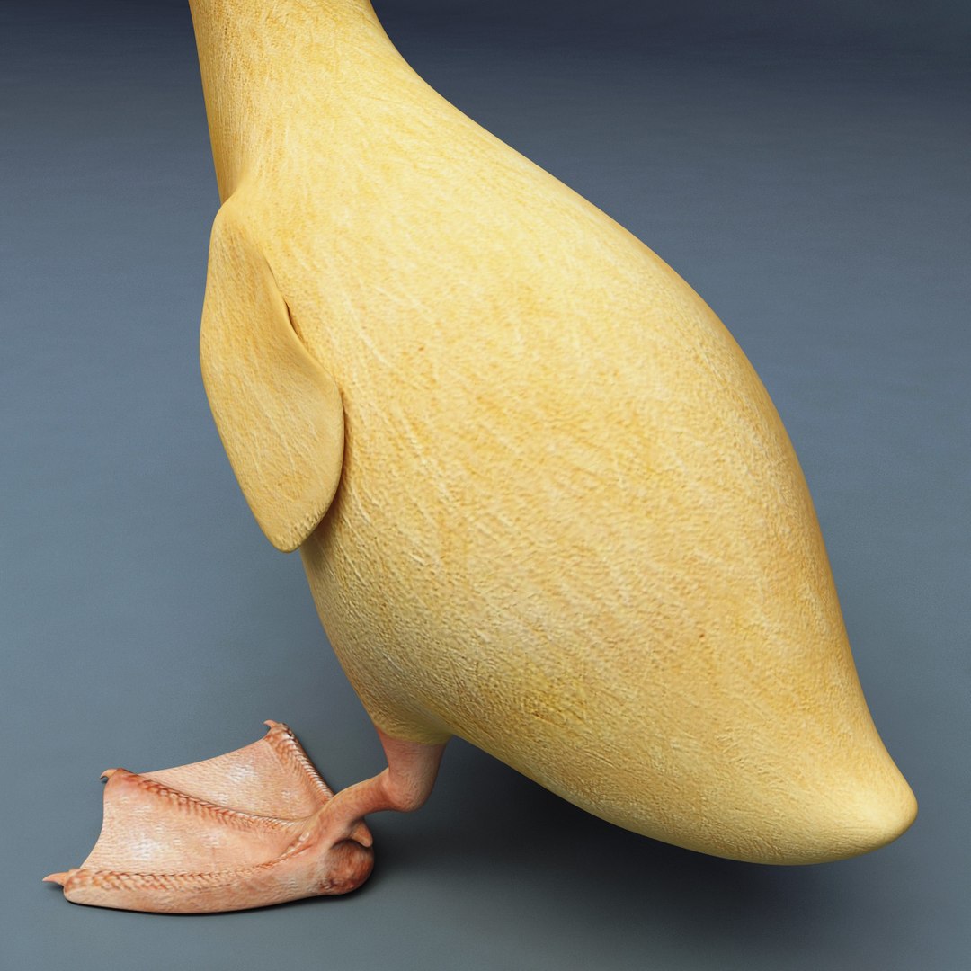 3d farm animals v3 model https://p.turbosquid.com/ts-thumb/IS/pD4ZRc/hgPvBoYK/farm_animals_collection_v3_64/jpg/1312917484/1920x1080/fit_q87/4a90d237eb3d381d89d4524a6e8717dc49b2de65/farm_animals_collection_v3_64.jpg