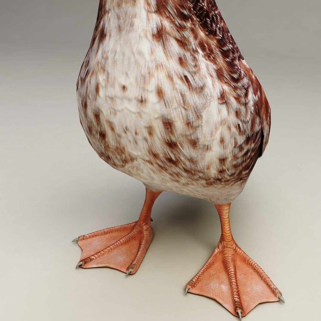 3d farm animals v3 model https://p.turbosquid.com/ts-thumb/IS/pD4ZRc/mbGNkZtp/farm_animals_collection_v3_54/jpg/1312917483/1920x1080/fit_q87/bfad37ded967f9107b1b932ab4113a0c576f471c/farm_animals_collection_v3_54.jpg