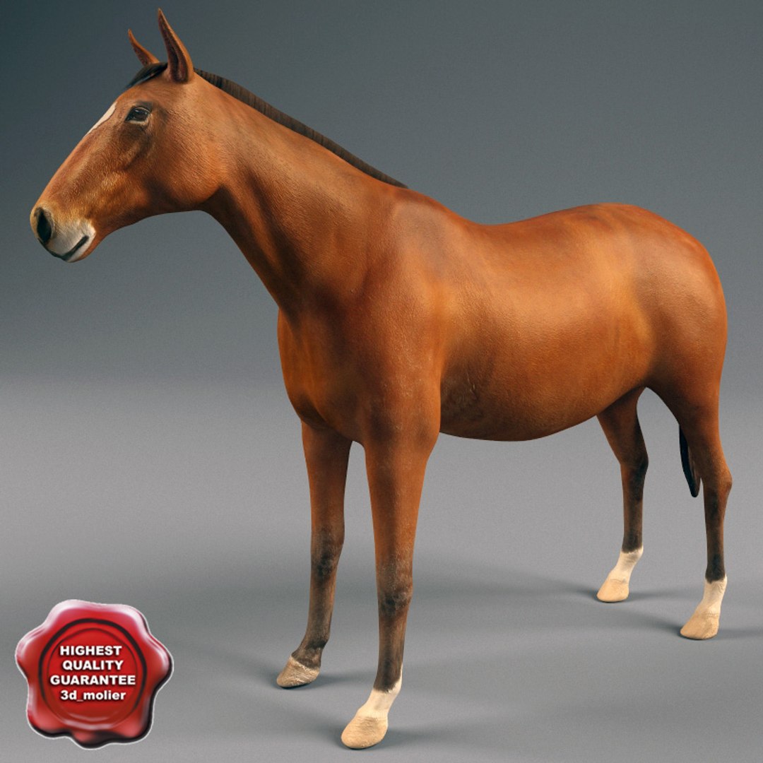 3d farm animals v3 model https://p.turbosquid.com/ts-thumb/IS/pD4ZRc/pXpEcI5N/farm_animals_collection_v3_20/jpg/1312917483/1920x1080/fit_q87/d20cc93ff71314b1a46071dfeb0103456c7f61e4/farm_animals_collection_v3_20.jpg