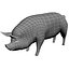 Farm Animals Collection V3