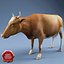 Farm Animals Collection V3