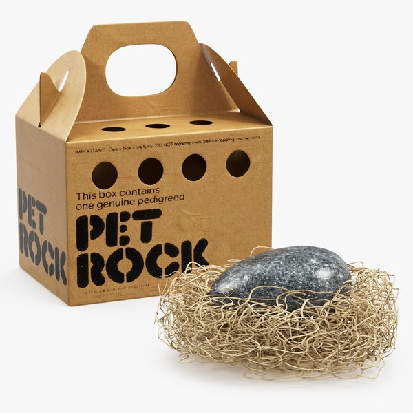 Gary Dahl, Inventor of the Pet Rock, Dies at 78 - The New York Times