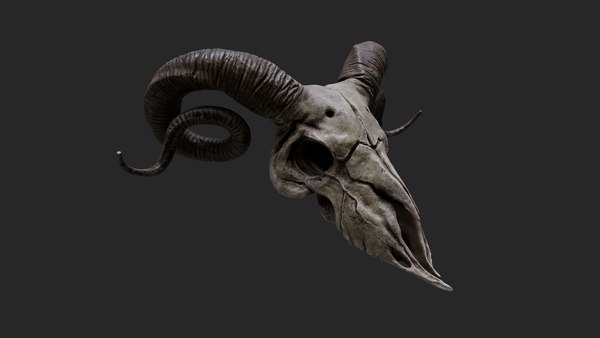 Animal skull - ram 3D model - TurboSquid 1540203