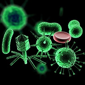 Virus