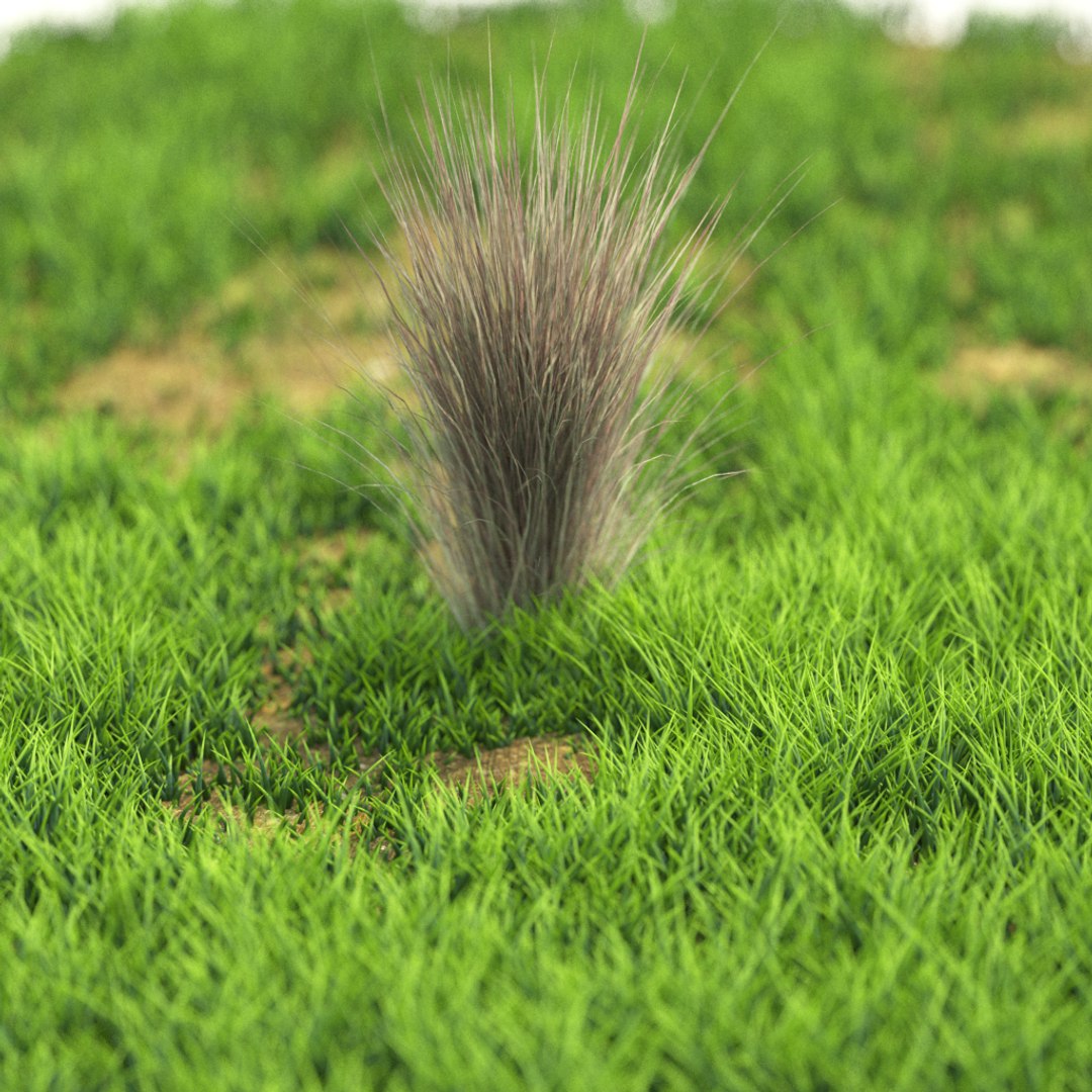 3D v-ray https://p.turbosquid.com/ts-thumb/IT/HeVDFz/51S36VU7/r_94/png/1603541140/1920x1080/fit_q87/3c702f667b5215af4c8eb15fbcafc732ff4c179e/r_94.jpg