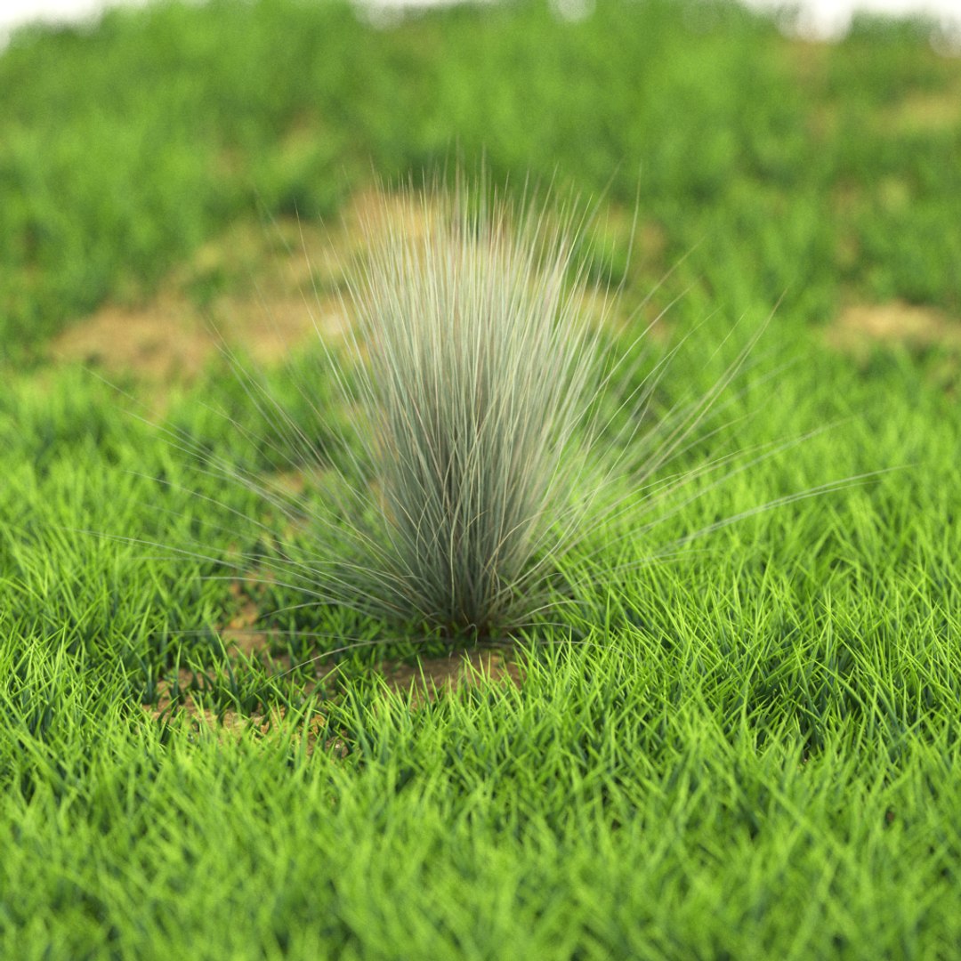 3D v-ray https://p.turbosquid.com/ts-thumb/IT/HeVDFz/8dHwLZ3P/r_95/png/1603541190/1920x1080/fit_q87/fc42fcf045f449fcbf1988adff544ab88293dad2/r_95.jpg
