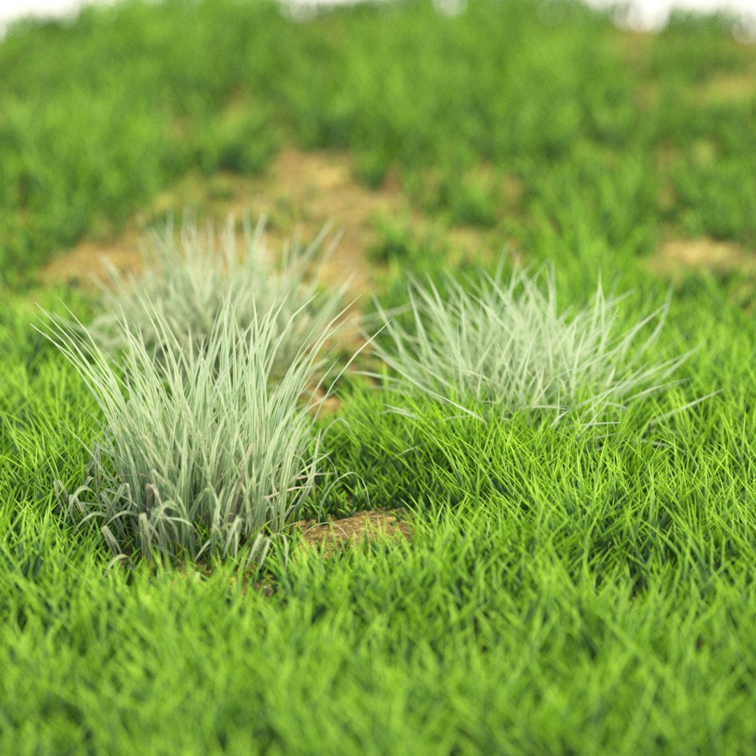 3D v-ray https://p.turbosquid.com/ts-thumb/IT/HeVDFz/ONb3aiyl/r_99/png/1603541370/1920x1080/fit_q87/f6679ba3738bf6b9effdf65294ff56f48a5c7d68/r_99.jpg
