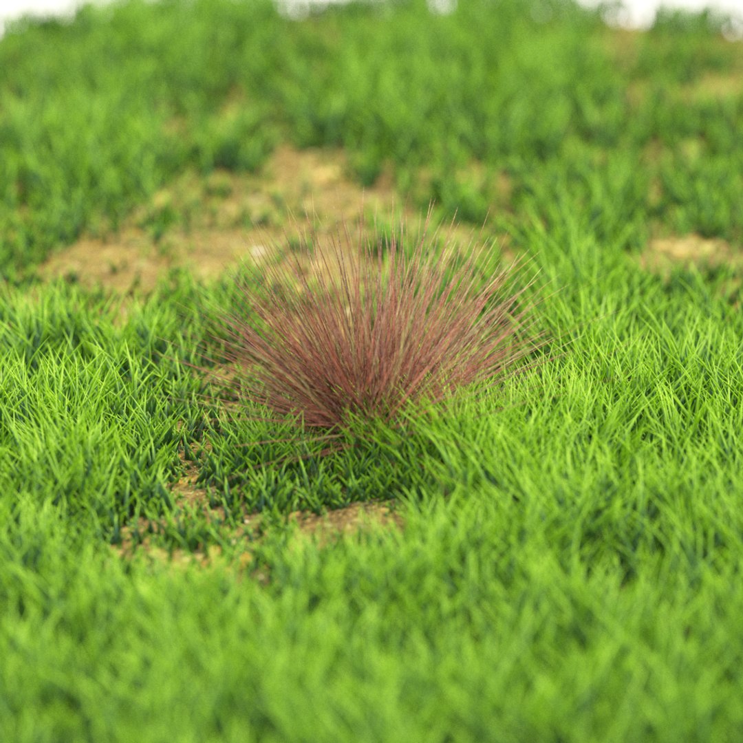 3D v-ray https://p.turbosquid.com/ts-thumb/IT/HeVDFz/nhDzS8L1/r_96/png/1603541302/1920x1080/fit_q87/715f1899d3eee39764042522aafab6b377294724/r_96.jpg