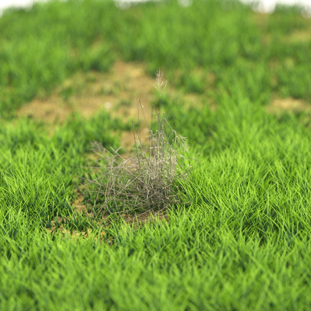 3D v-ray https://p.turbosquid.com/ts-thumb/IT/HeVDFz/pFIZ8hdY/r_93/png/1603541020/1920x1080/fit_q87/92d1e82b217e83b12afb4076dd6d328cbb8fcb9d/r_93.jpg