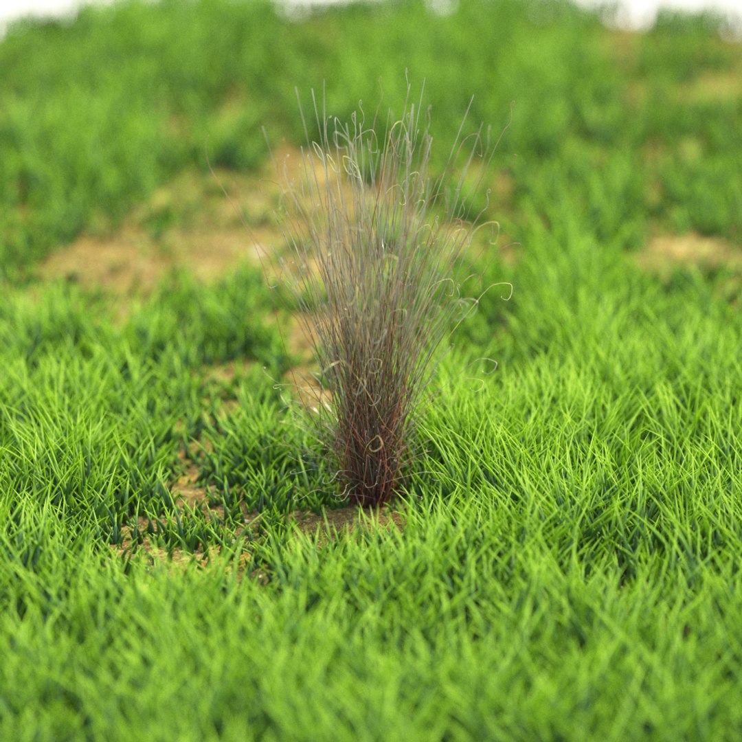 3D v-ray https://p.turbosquid.com/ts-thumb/IT/HeVDFz/yNGhHLVT/r_100/png/1603541424/1920x1080/fit_q87/7d957bd95b9f4d79f5d728c32f8d3ad7490924d0/r_100.jpg