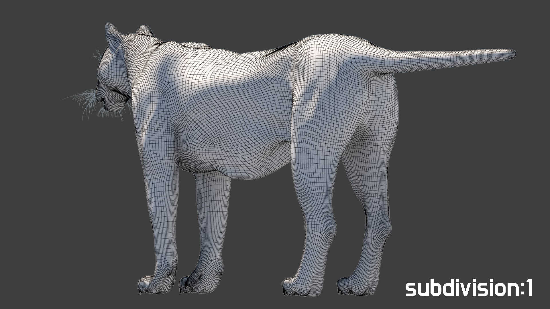 modèle 3D de Tigre blanc par 3DRivers - TurboSquid 455521