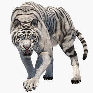3D tiger fur white