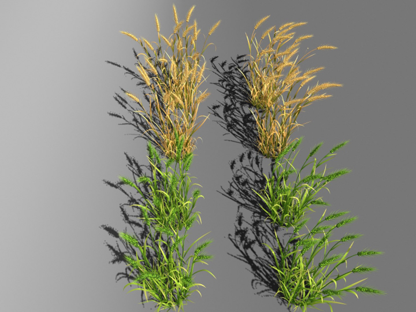 3d wheat field farm https://p.turbosquid.com/ts-thumb/IT/OlEP9F/67HfTFAQ/3/jpg/1470671294/1920x1080/fit_q87/857e89c984bfd3a47eb2bee34b59cdaa1f3d8618/3.jpg