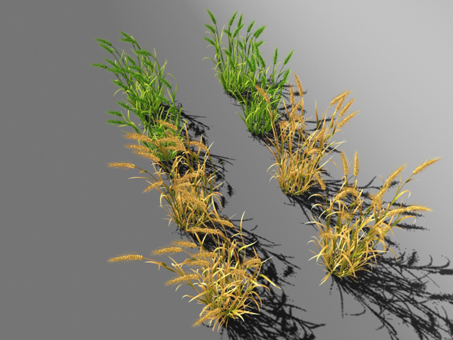 3d wheat field farm https://p.turbosquid.com/ts-thumb/IT/OlEP9F/AiiaEtVO/4/jpg/1470671297/1920x1080/fit_q87/612b26399418ca1b18fbda5bf12186c8389b8866/4.jpg