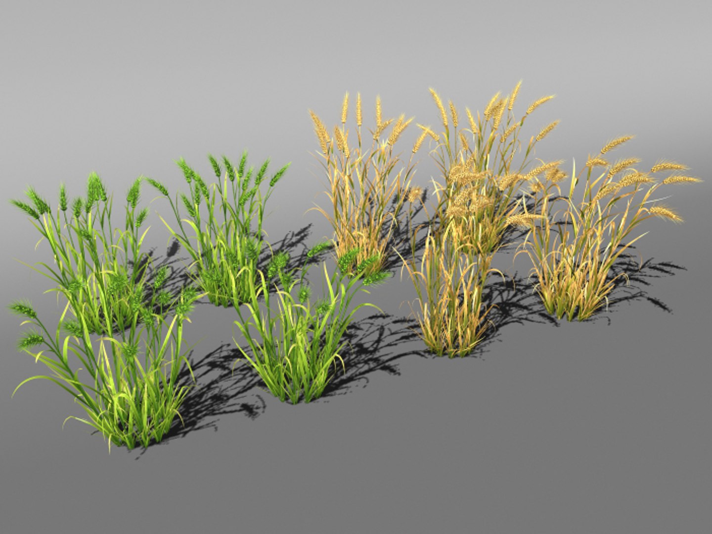 3d wheat field farm https://p.turbosquid.com/ts-thumb/IT/OlEP9F/CYfs2kNr/2/jpg/1470671291/1920x1080/fit_q87/cec7e343d9196da62bc89b425dc39e0930292220/2.jpg