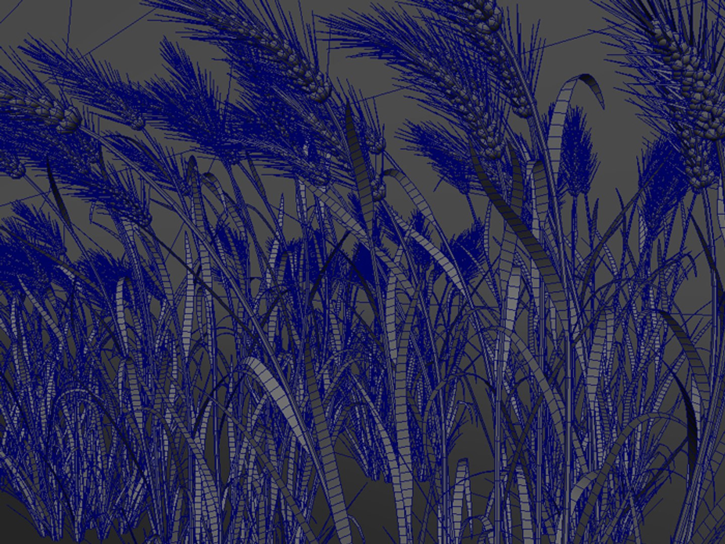 3d wheat field farm https://p.turbosquid.com/ts-thumb/IT/OlEP9F/NubRbWuK/10_lineframe/jpg/1470671324/1920x1080/fit_q87/a100d861630bd41e9686b2588a5de071b1fae685/10_lineframe.jpg