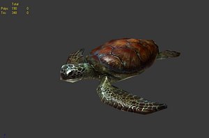 3d sea turtle