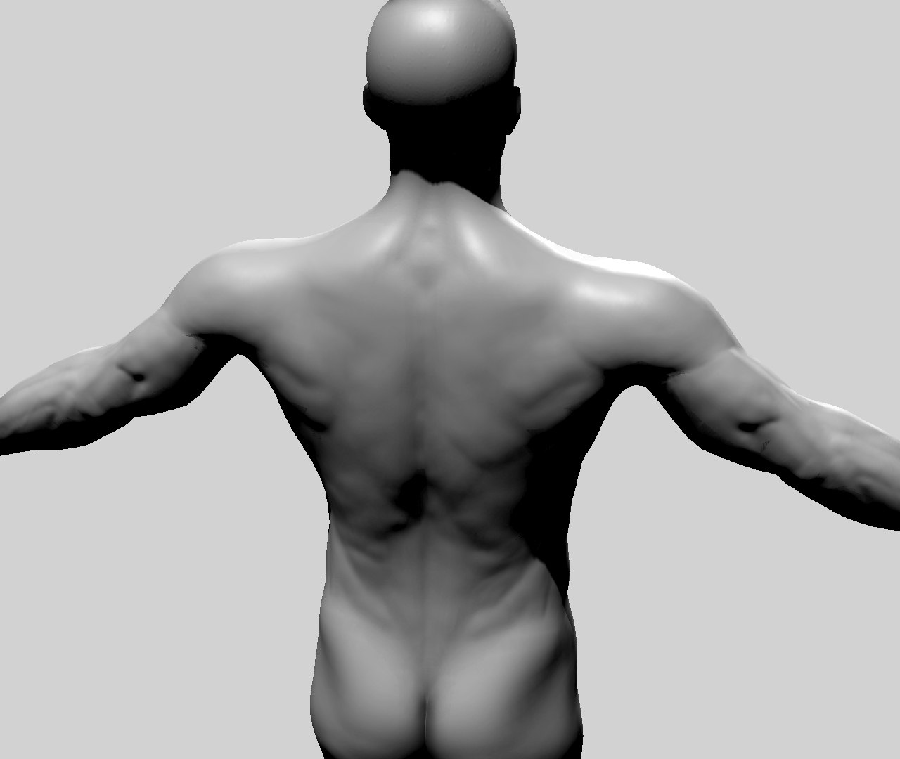 Male Human Man 3d Model