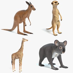 3D model kangaroo meerkat giraffe