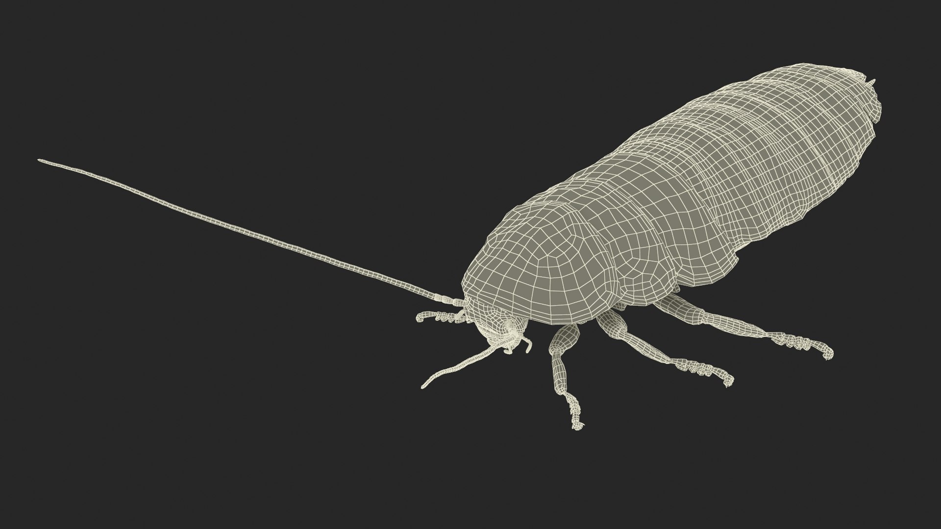Wood Feeding Cockroach Rigged for Maya model - TurboSquid 2170526