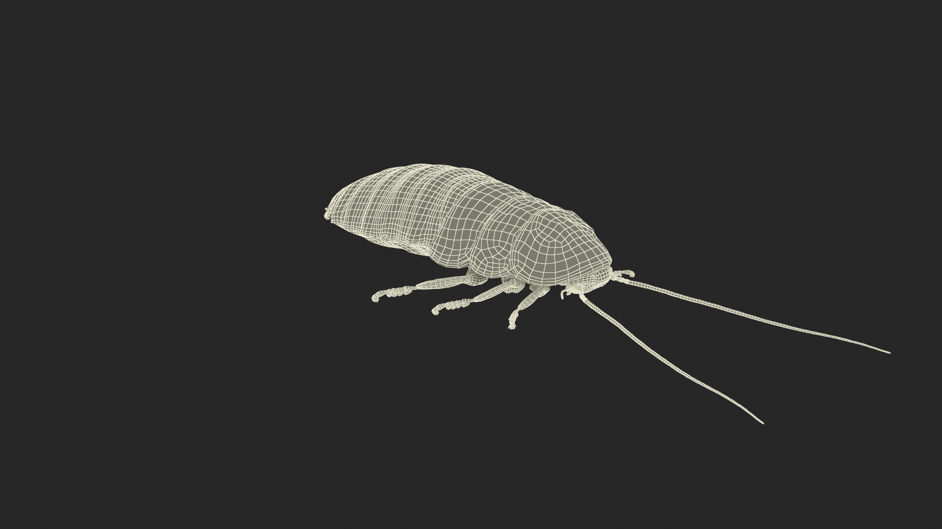 Wood Feeding Cockroach Rigged for Maya model - TurboSquid 2170526