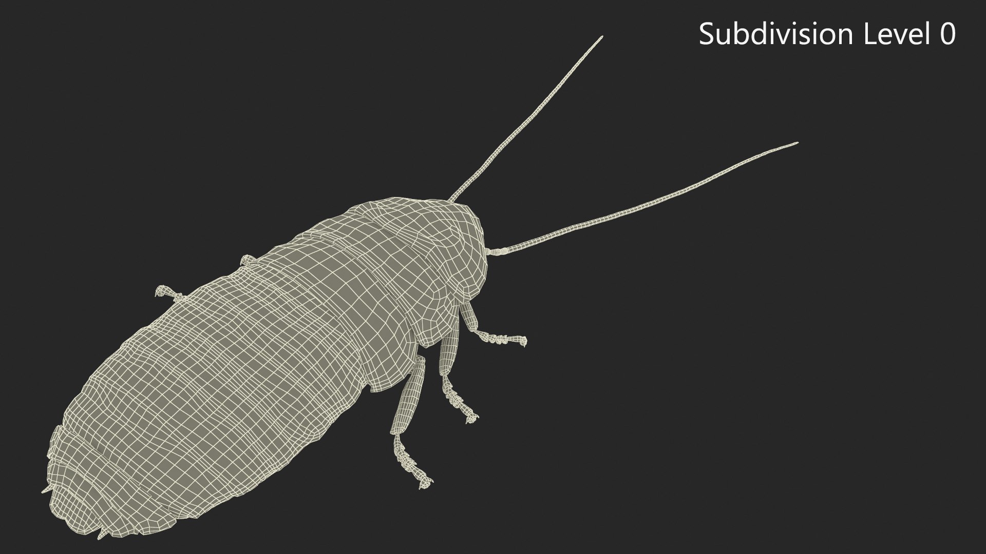 Wood Feeding Cockroach Rigged for Maya model TurboSquid 2170526