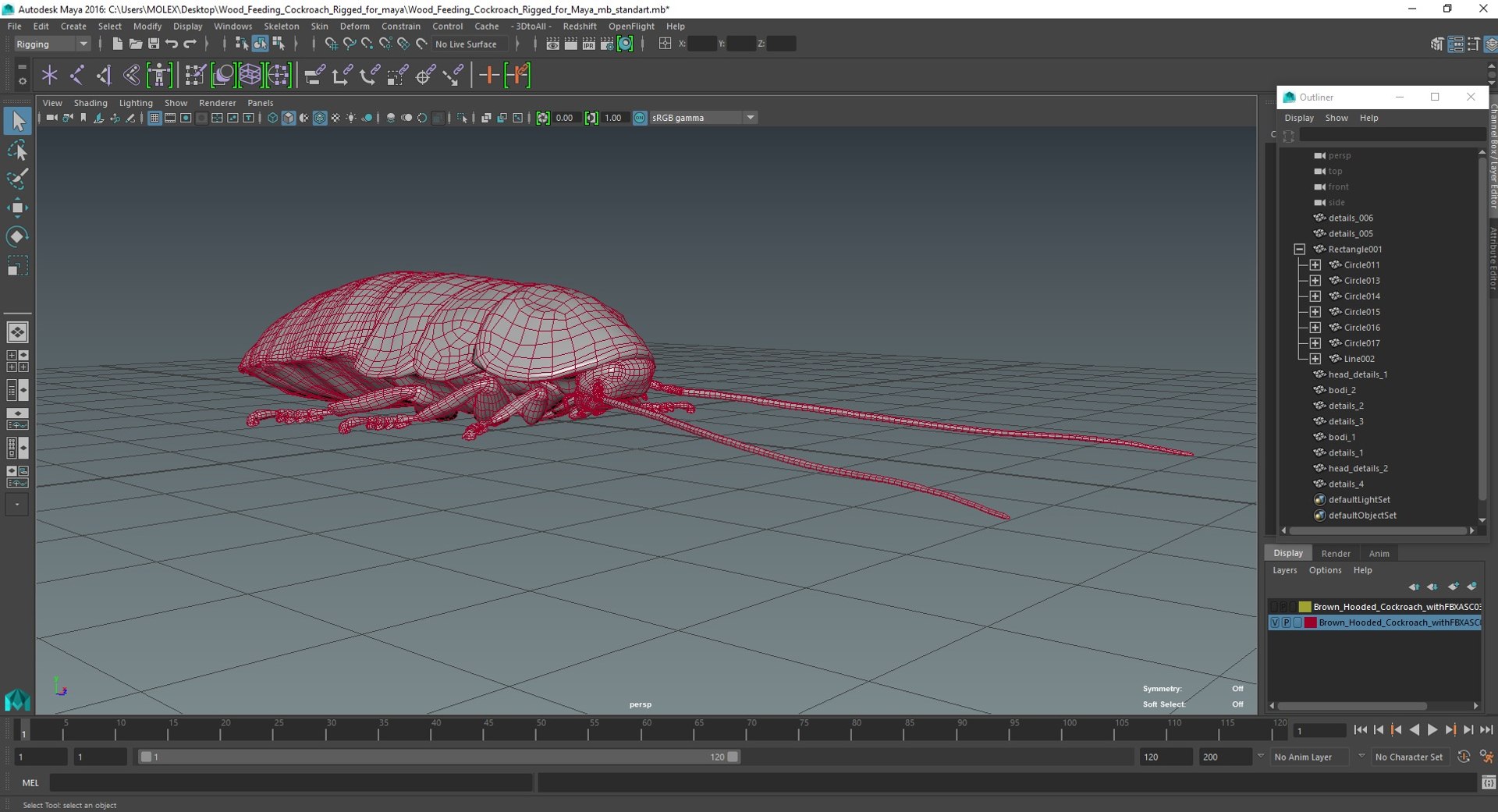 Wood Feeding Cockroach Rigged for Maya model - TurboSquid 2170526