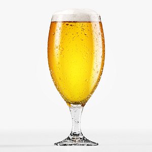 Beer Glass