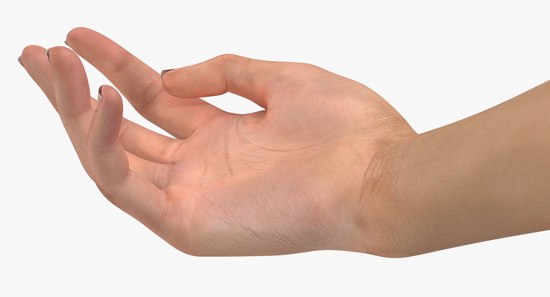 australian female hand australia model https://p.turbosquid.com/ts-thumb/IU/QEMQfE/8RA5hnOX/australianfemalehandriggedvray3dmodel013/jpg/1554294357/1920x1080/fit_q87/6ce1e51110e8db35a25b7b7a8e122d0e05646484/australianfemalehandriggedvray3dmodel013.jpg