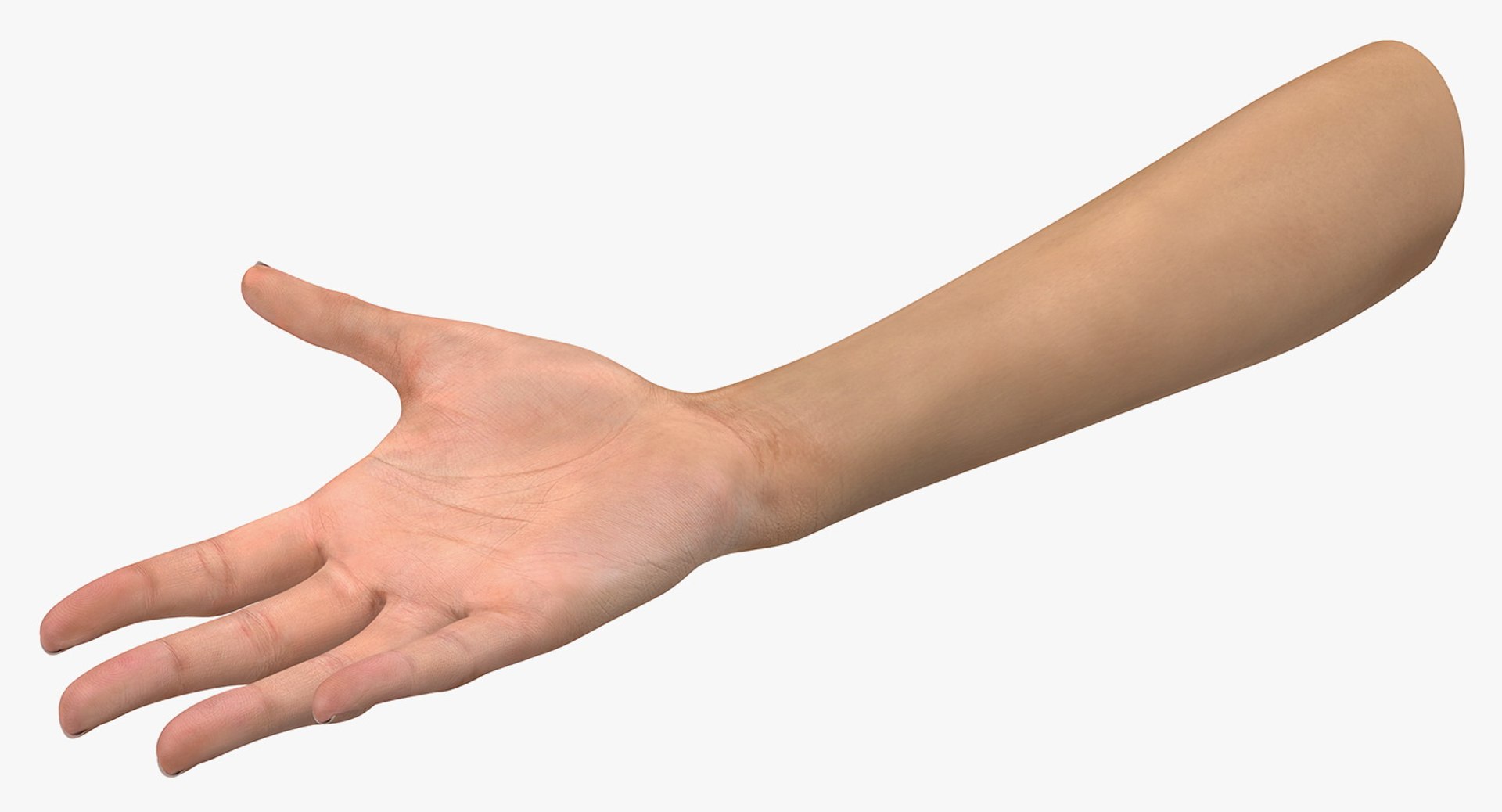 australian female hand australia model https://p.turbosquid.com/ts-thumb/IU/QEMQfE/cJvcTBIj/australianfemalehandriggedvray3dmodel006/jpg/1554294335/1920x1080/fit_q87/7cac57bd342f5b51f67b7c02e7f8fa217b3e44de/australianfemalehandriggedvray3dmodel006.jpg