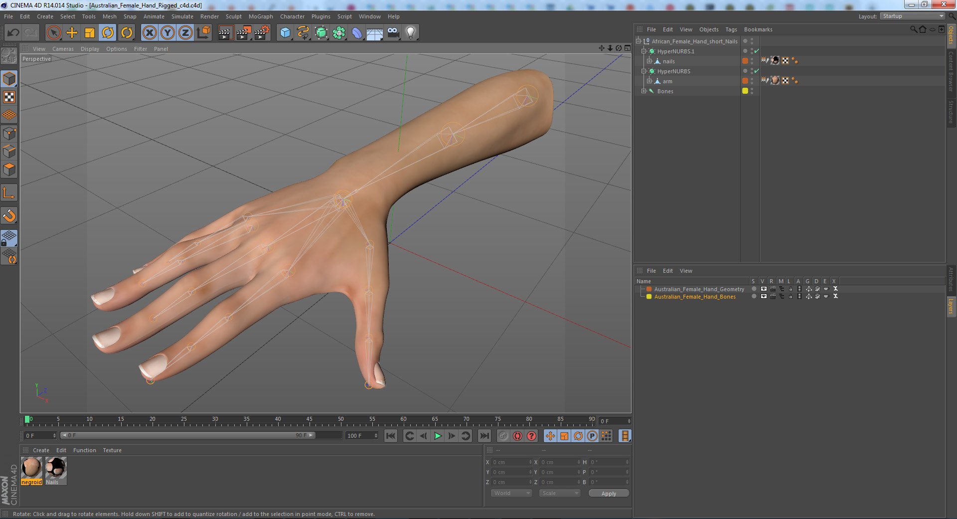 australian female hand australia model https://p.turbosquid.com/ts-thumb/IU/QEMQfE/fv7R1l3B/australian_female_hand_rigged_c4d_01/jpg/1556552222/1920x1080/fit_q87/beedee95ea58044b3a3173535a5cb02219adfcfe/australian_female_hand_rigged_c4d_01.jpg