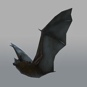 bat Animated & Rigged