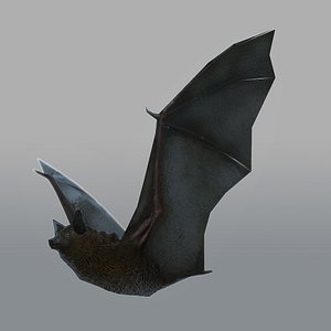 bat Animated & Rigged