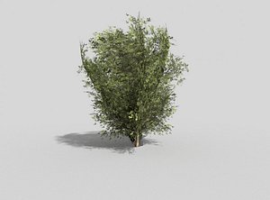 3d model plant games
