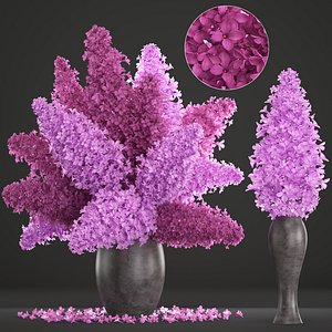 bouquet of lilac Syringa