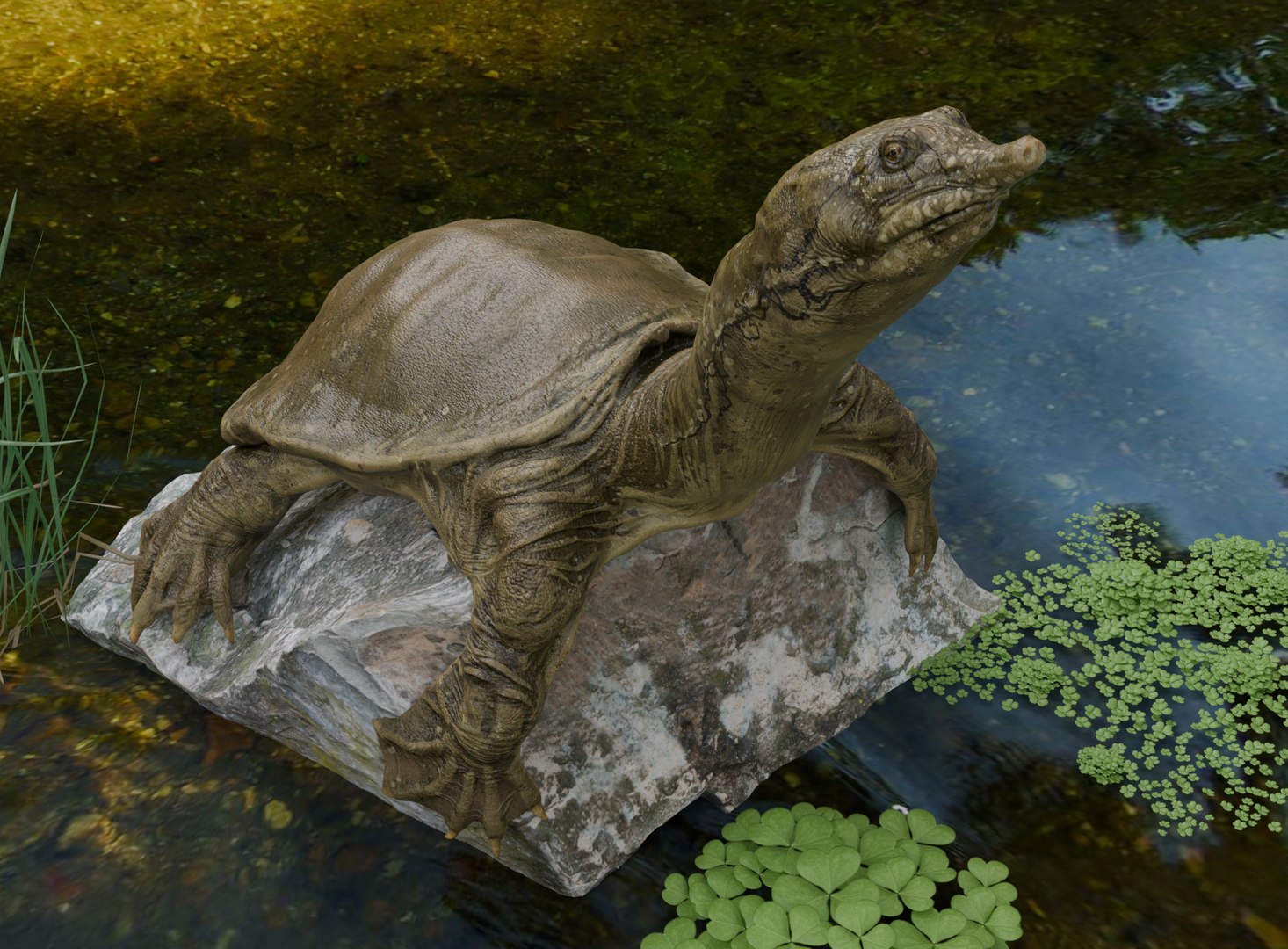 Realistic Turtle Pbr 4k 3D - TurboSquid 2397542