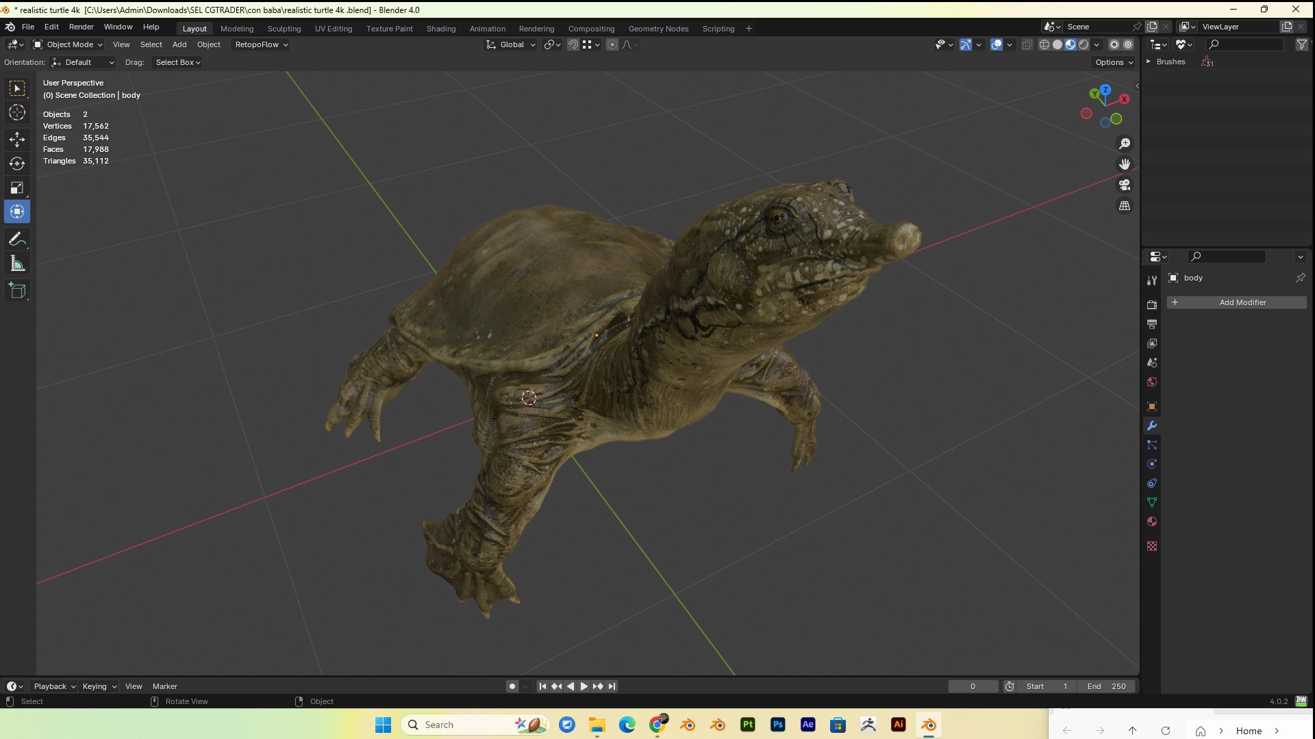 Realistic Turtle Pbr 4k 3D - TurboSquid 2397542