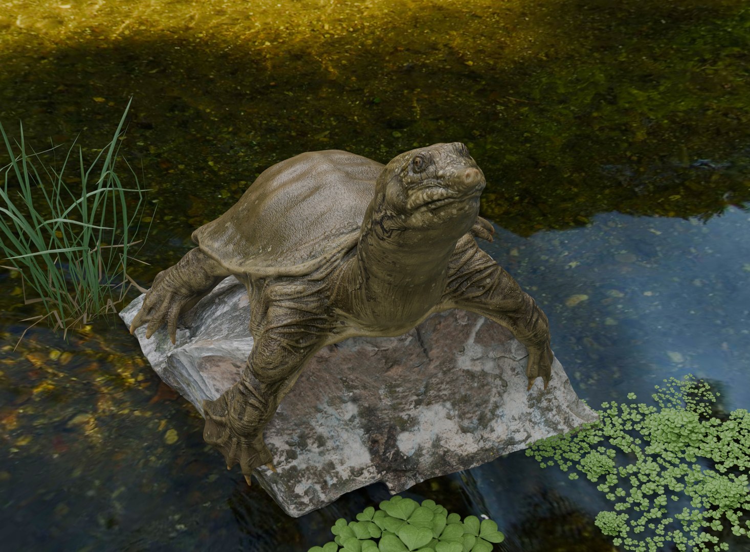 Realistic Turtle Pbr 4k 3D - TurboSquid 2397542
