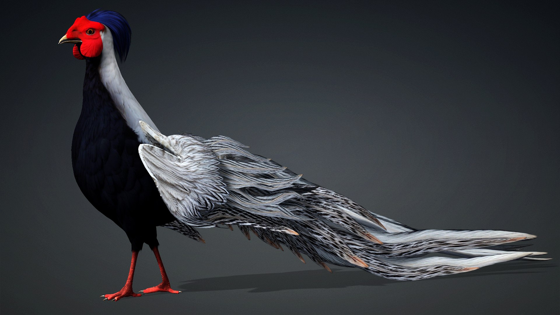3D White Pheasant-A1 https://p.turbosquid.com/ts-thumb/IV/4PeS7Z/2D/preview00/jpg/1759465262/1920x1080/fit_q87/6099f8d7d3fe493cdb1a39bc128df9a3c4d6f88d/preview00.jpg
