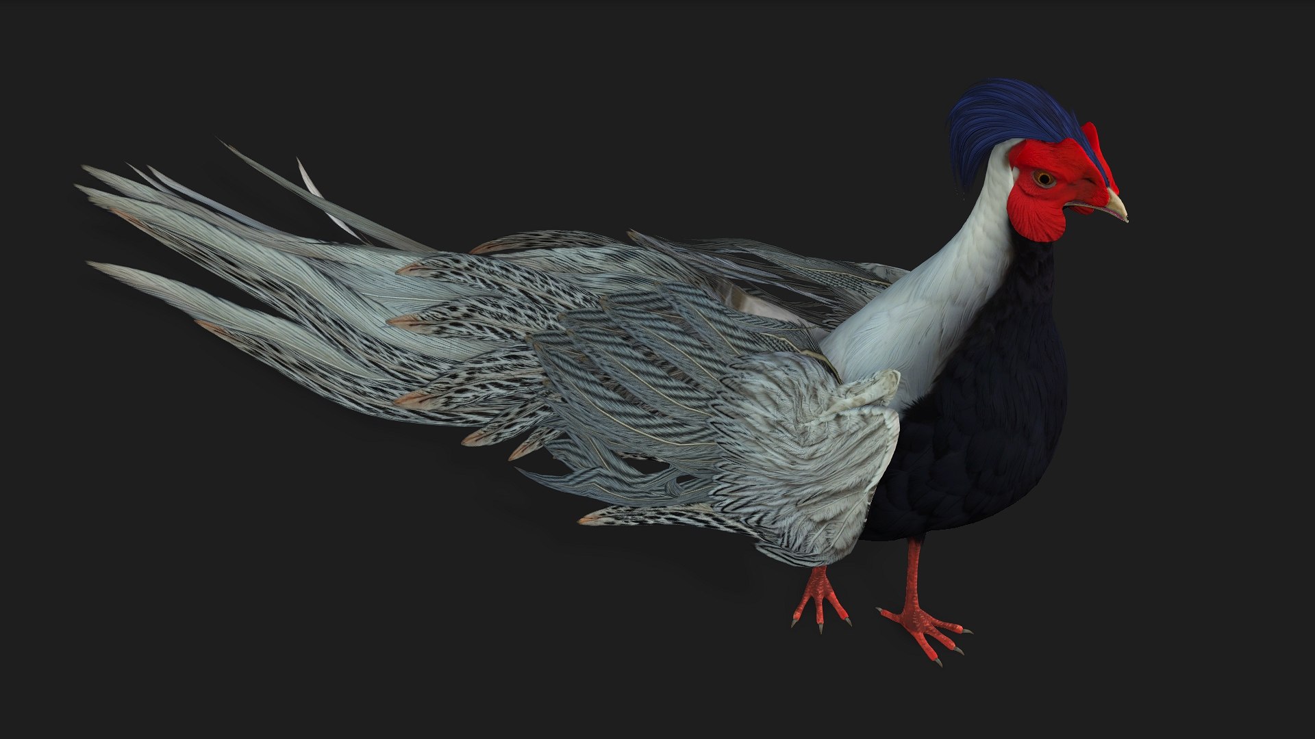 3D White Pheasant-A1 https://p.turbosquid.com/ts-thumb/IV/4PeS7Z/DA/preview02/jpg/1759465266/1920x1080/fit_q87/13e6a4418c4ab4831f6981c2dc2675f0da5e95c0/preview02.jpg