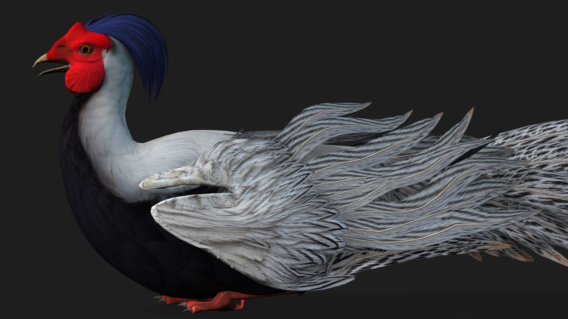 3D White Pheasant-A1 https://p.turbosquid.com/ts-thumb/IV/4PeS7Z/Jx/preview15/jpg/1759465278/1920x1080/fit_q87/7e113fe2f0c10162f3c9668591cfc2648048bead/preview15.jpg