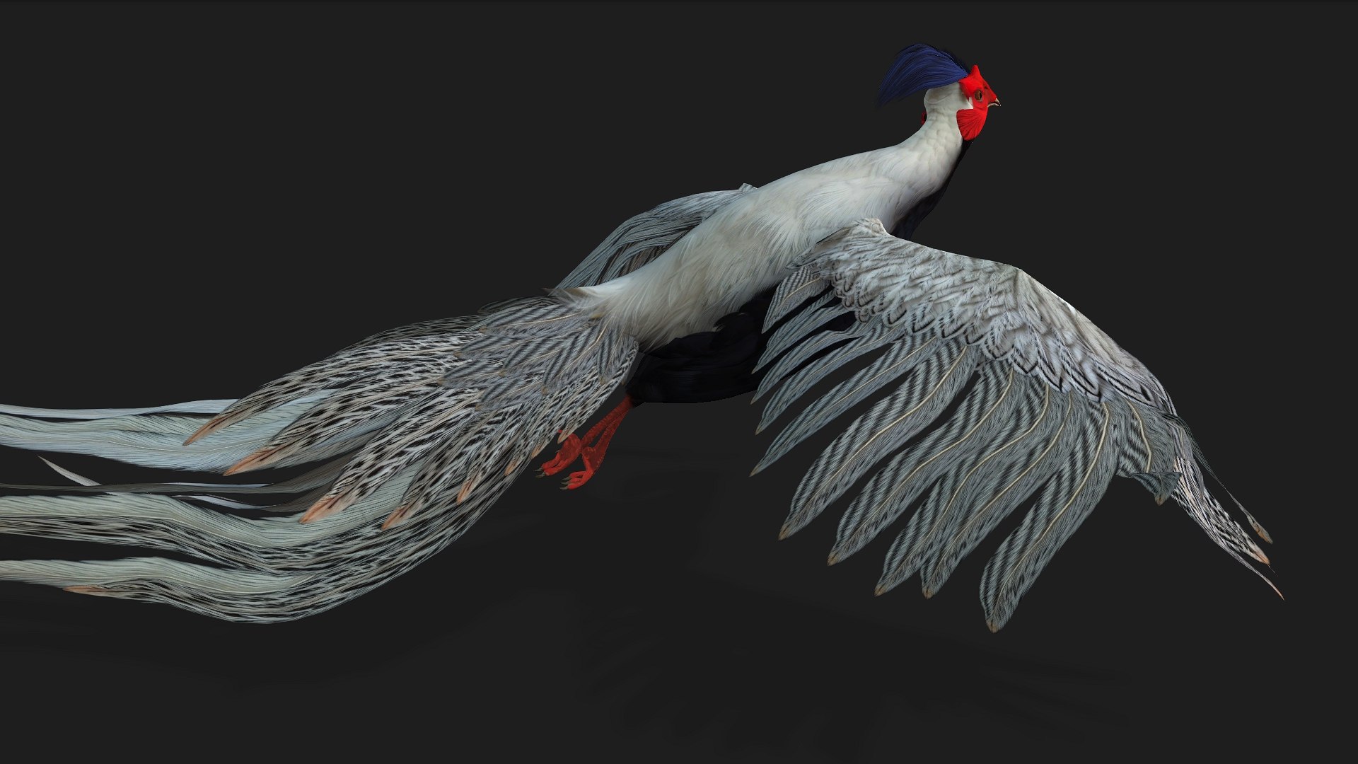 3D White Pheasant-A1 https://p.turbosquid.com/ts-thumb/IV/4PeS7Z/Um/preview07/jpg/1759465272/1920x1080/fit_q87/4425b0a7646ebe1ae483fcf3b317af91a87ea55e/preview07.jpg