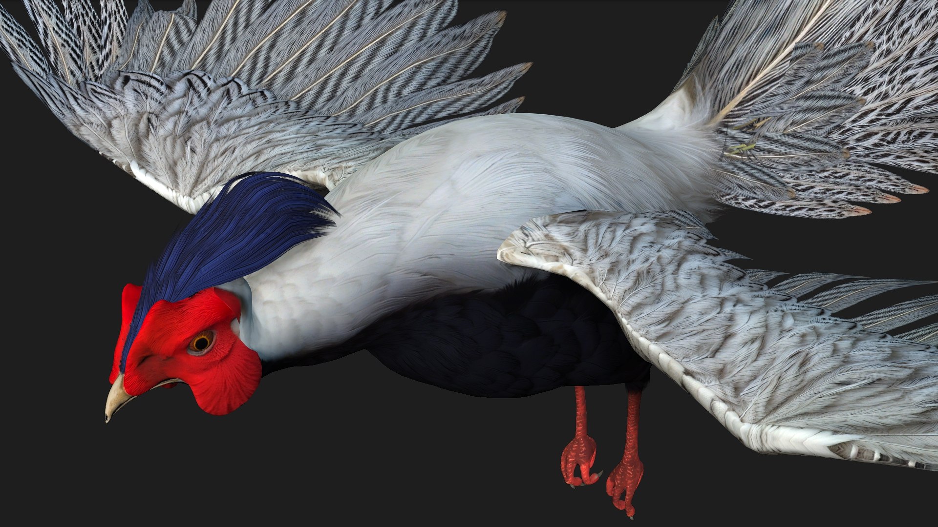 3D White Pheasant-A1 https://p.turbosquid.com/ts-thumb/IV/4PeS7Z/ZP/preview12/jpg/1759465275/1920x1080/fit_q87/03ef05dcdcd9bbebb6879ec91a219f6a944e51c3/preview12.jpg