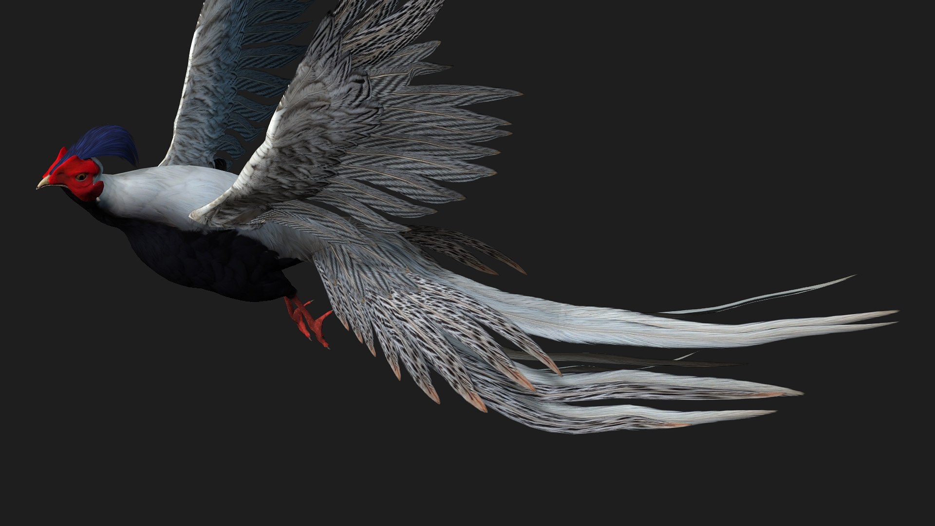 3D White Pheasant-A1 https://p.turbosquid.com/ts-thumb/IV/4PeS7Z/uC/preview10/jpg/1759465273/1920x1080/fit_q87/5689928eb02185329f4fcefddfe82078082d162e/preview10.jpg